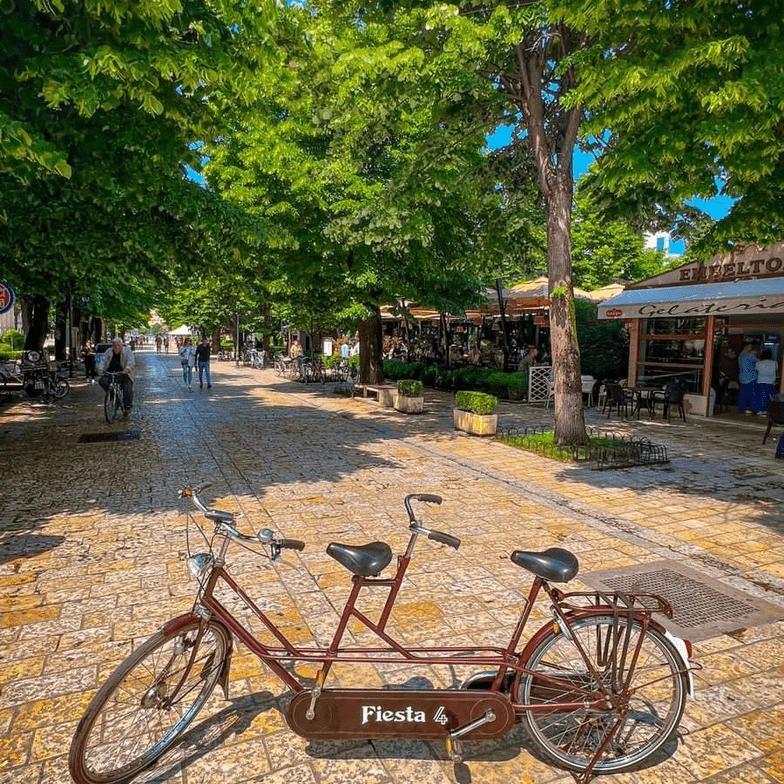 Screenshot 2022-10-20 at 22-29-50 Bicycles and Electric Bikes for Rent &#8211; Bicikleta_Motorra me qira (@fiestarentbike) • Instagram photos and videos